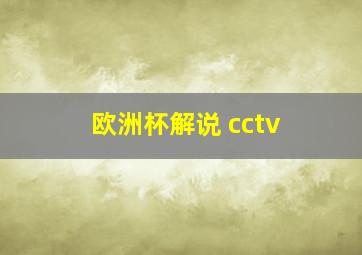 欧洲杯解说 cctv